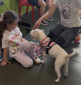 pet therapy